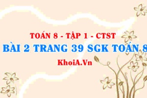 Bài 2 trang 39 SGK Toán 8 Tập 1 Chân trời sáng tạo